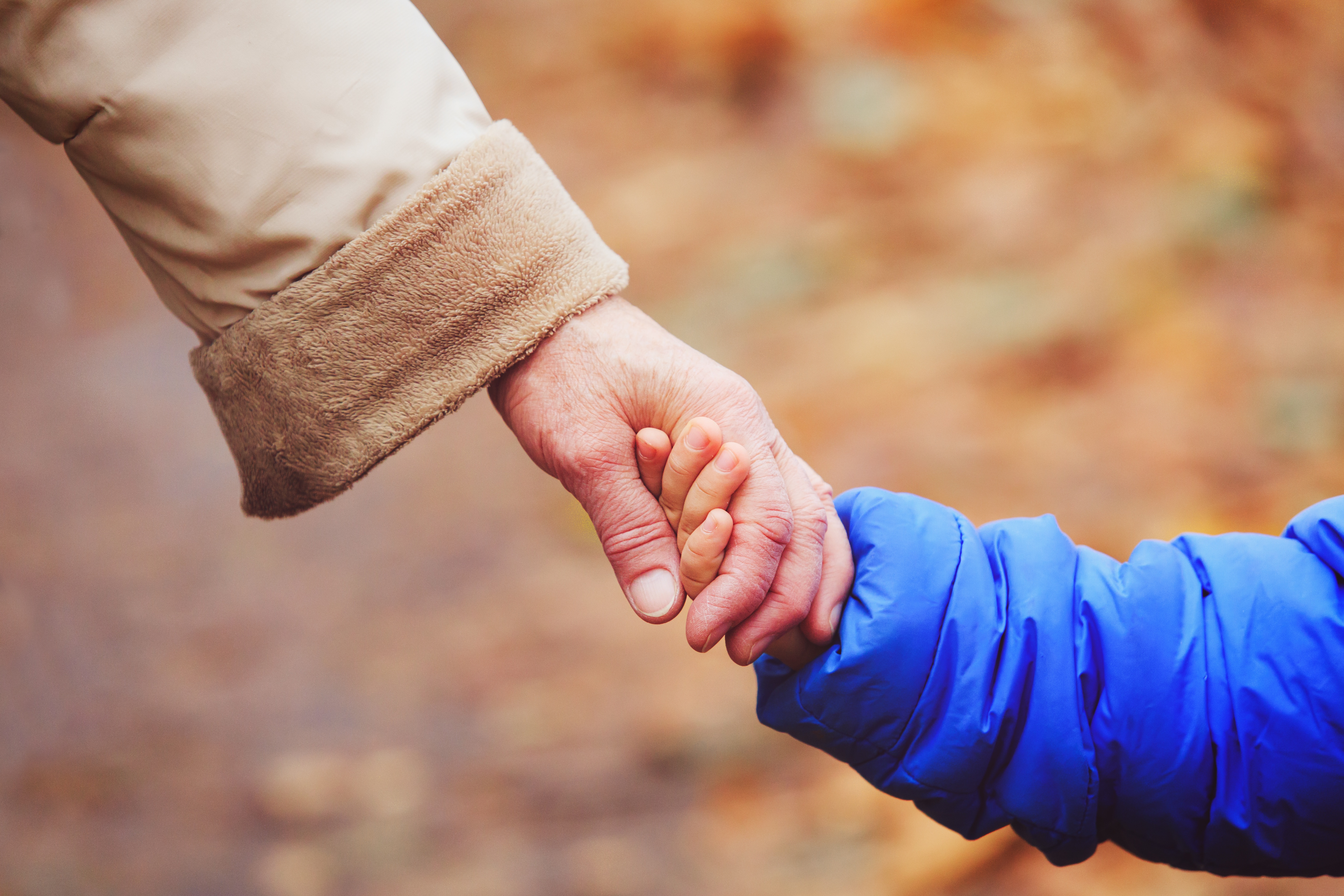 Protecting Your Elderly Family Members from Scams