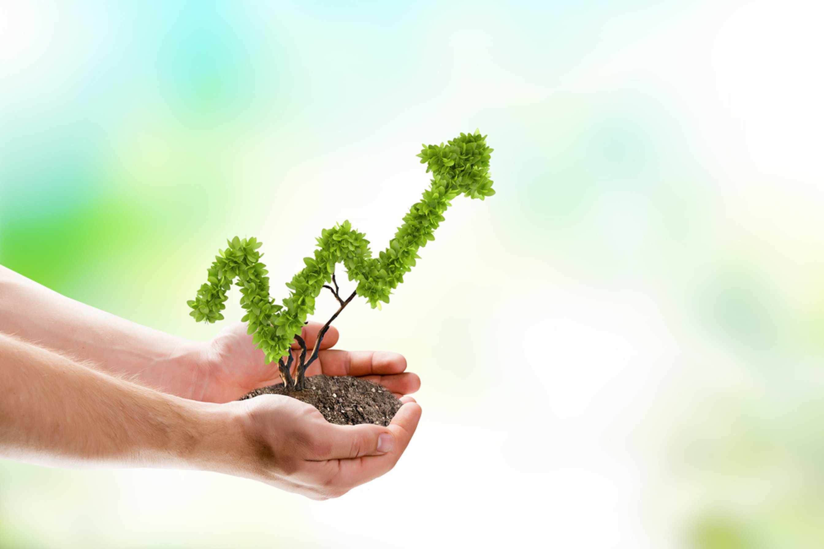 Monthly Financial Jargon: Market Sectors