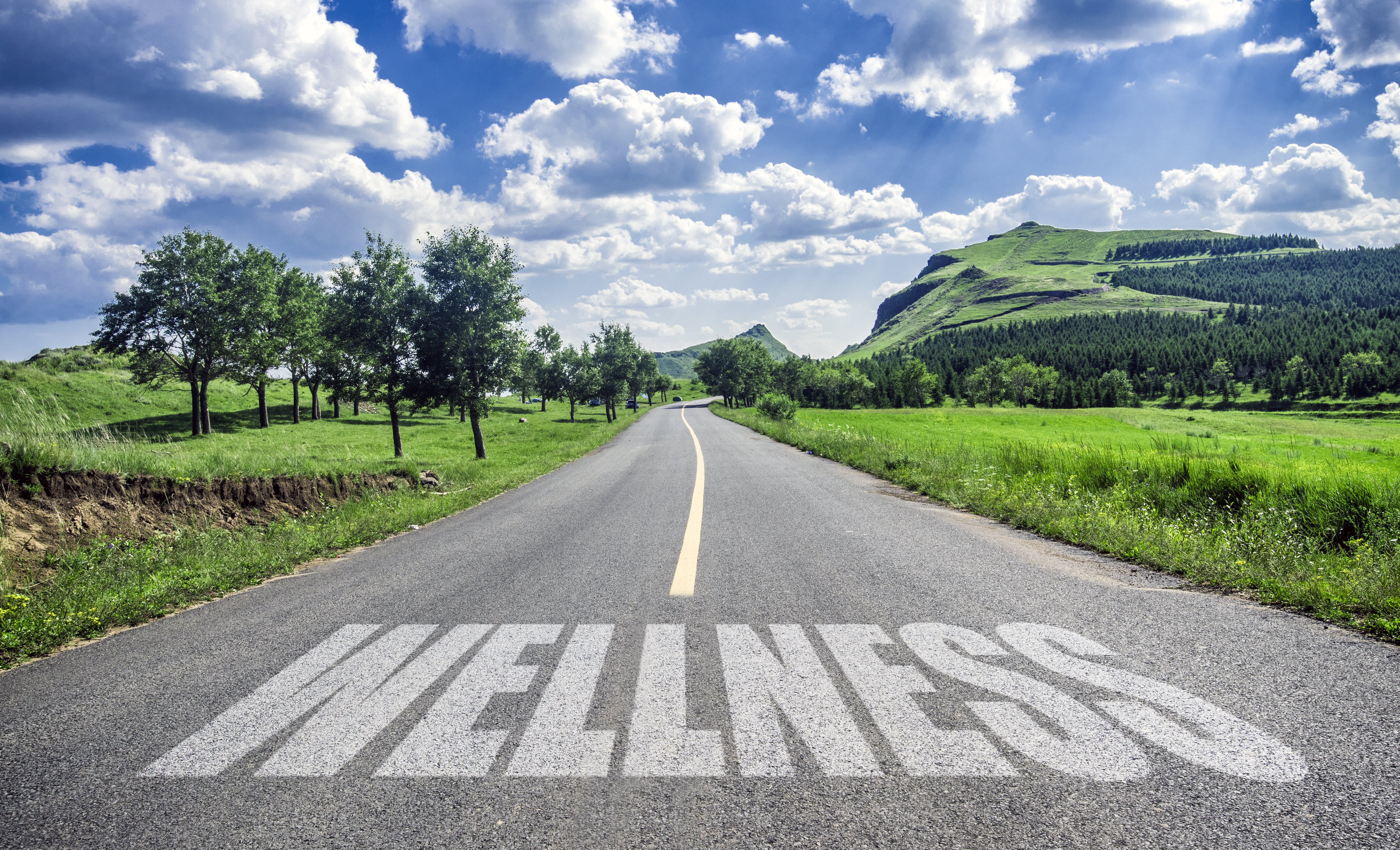 MONEY HACKS: Are You Going Beyond Physical Health to Create a Sustainable Wellness Program?